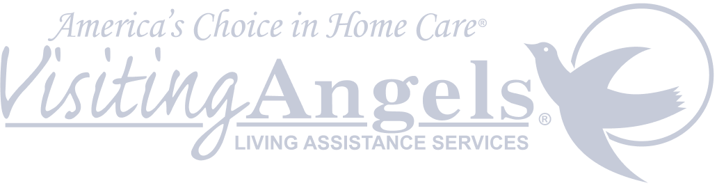 Logo Visiting Angels Grey