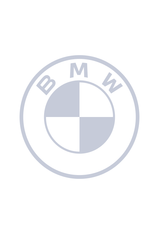 Logo BMW Grey Dis 32